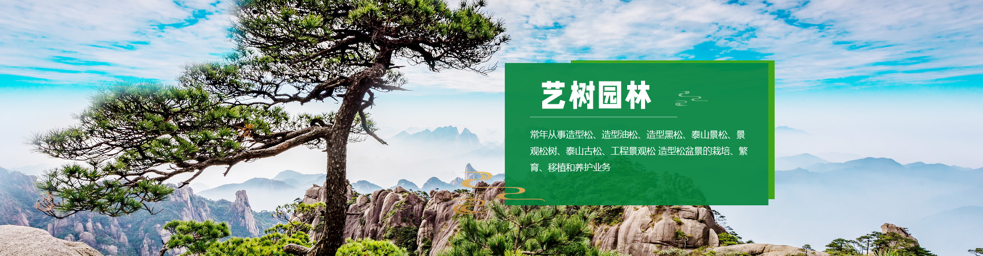 泰安泰山力源機(jī)械科技有限公司